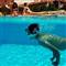 Erken rezervasyon i�e yarad�