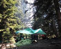 Hazinenin pe�inde