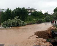 Van'da sel