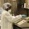 H1N1 vir�s� istikrarl�
