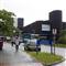 Britanyada domuz gribinden ikinci �l�m