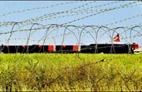May�nda ilk ad�m
