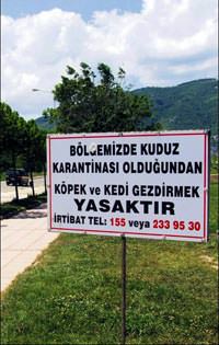 K�pek gezdirme yasa��na tepki