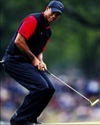 Tiger Woods 2008'de de paraya para demedi