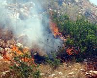 Didim'de 50 hektar makilik alan yand�