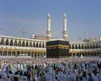 Suudi Arabistan'da domuz gribinden ilk �l�m