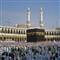 Suudi Arabistanda domuz gribinden ilk �l�m