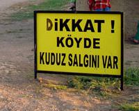 Hatay'da kuduz karantinas�