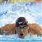 Phelps kaza ge�irdi