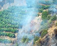 Antalya'da yang�n