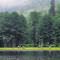 Turistlerin tercihi do�al ya�am