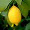 A�ustos ay� zam �ampiyonu limon oldu