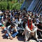 Edirnede 47 ka�ak yakaland�