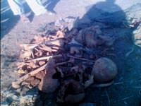 Cizre'de yine kemik par�alar� bulundu