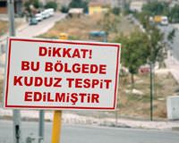 �anl�urfa'da "kuduz karantinas�"