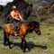 Putin g�z�n� 2012ye dikti