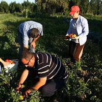 Bayram �ncesi �ift�iye m�jde