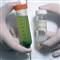 AIDSin bula�mas�n� �nleyen a��