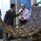 Teknolojik ka�n�- Video Haber