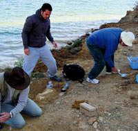 Ankara'da 10 milyon y�ll�k z�rafa fosili