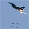 ABD F-16s� ABD �ss�n� vurdu!