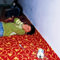 Hakk�ride eve gaz bombas� iddias�