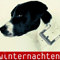 Winternachten �stanbuldayd�
