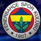 Fenerbah�ede domuz gribi
