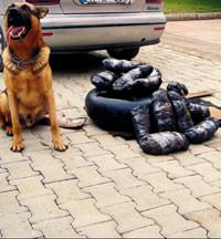 Polislerin imdad�na onlar yeti�ti