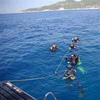 Dal�� tutkunlar�n�n g�zdesi kalkan
