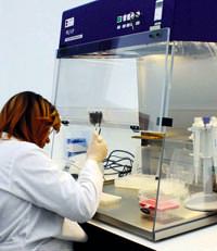 ��pheli �r�ne 91 g�nl�k inceleme
