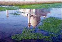 �ranl� sanat��lar�n i�leri �stanbul'da
