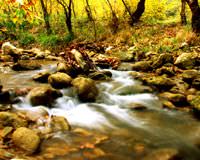 Mu�la'da iki mevsim birden ya�an�yor