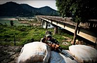 Hindistan'daki �l�mc�l Ba�kald�r� B�y�yor