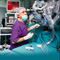 T�m�r�, robot Da Vinci ile bademcik gibi ald�lar