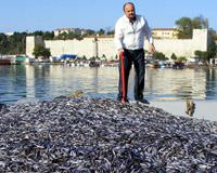 Hamside "ya�mur" ucuzlu�u