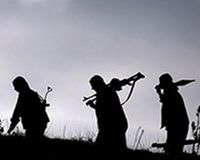 ��rnak'ta 3 PKK'l� yakaland�