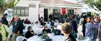 Ayval�k'ta zeytin hasad�