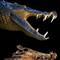 Dinozorla beslenen timsah t�r� bulundu
