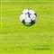 29 ma�ta �ike yap�ld�
