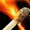 Fatihte yang�n: 1 �l�