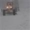 11 ki�i 5 g�nd�r �aml�hem�inde mahsur