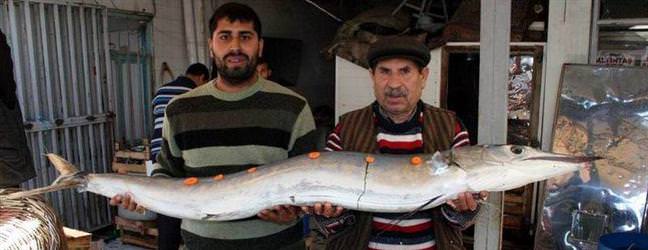 Dev k�l�� bal��� �a��rtt�