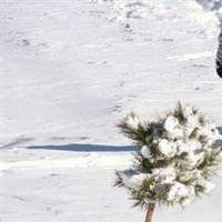Rize'deki kay�p 4 ki�iye ula��ld�