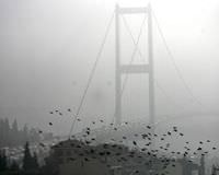 Meteoroloji'den sis uyar�s� - HAR�TALI