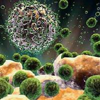33,4 milyon ki�i AIDS hastas�