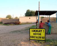 Adana'da kuduz karantinas�