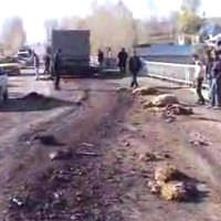 30 koyun telef oldu