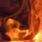 Ba�kentte yang�n: 1 �l�