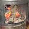 Karbonmonoksit gaz�ndan zehirlenerek �ld�